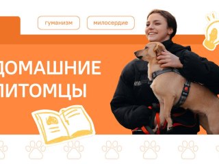 "Разговоры о важном": Учимся ответственности и любви к братьям нашим меньшим "Разговоры о важном": Учимся ответственности и любви к братьям нашим меньшим